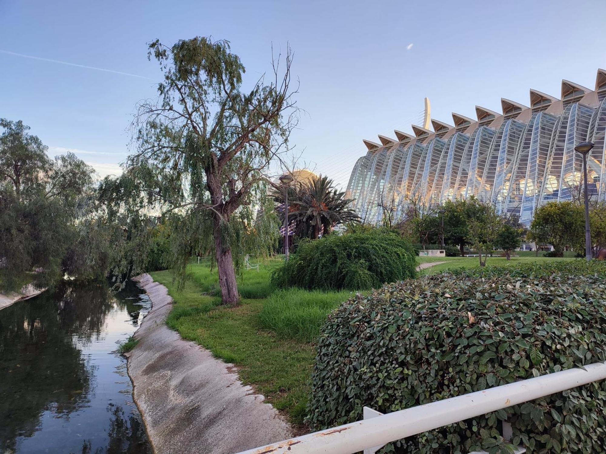 City of Arts & Sciences Apartments by Bruno Valencia Exterior photo